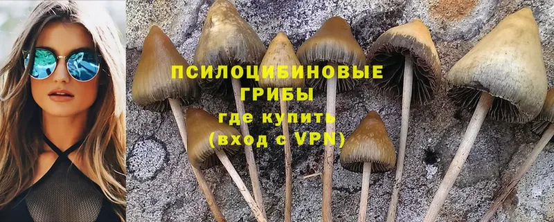 Псилоцибиновые грибы Psilocybe  купить наркотик  Карталы 